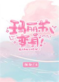 玛丽苏的小说兽医