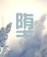 堕歌词完整版
